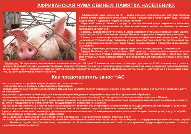 АЧС